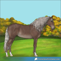 Horse Color:Silver Black 