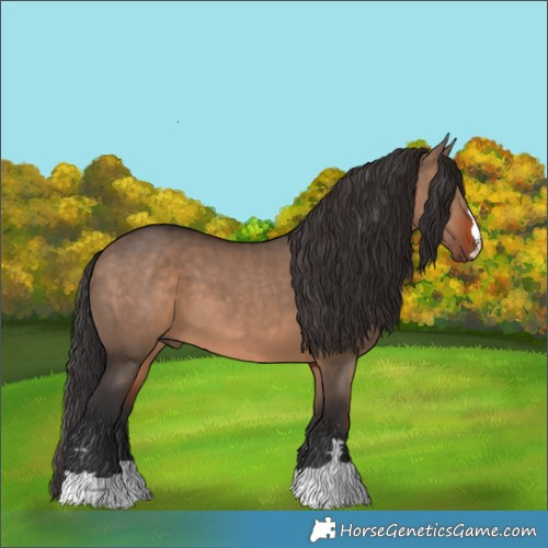 Horse Color:Brown Dun 
