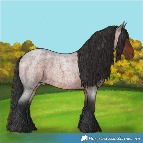 Horse Color:Brown Roan 
