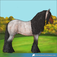 Horse Color:Brown Roan