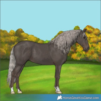 Horse Color:Silver Black 