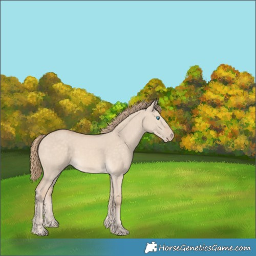 Horse Color:Perlino Dun 
