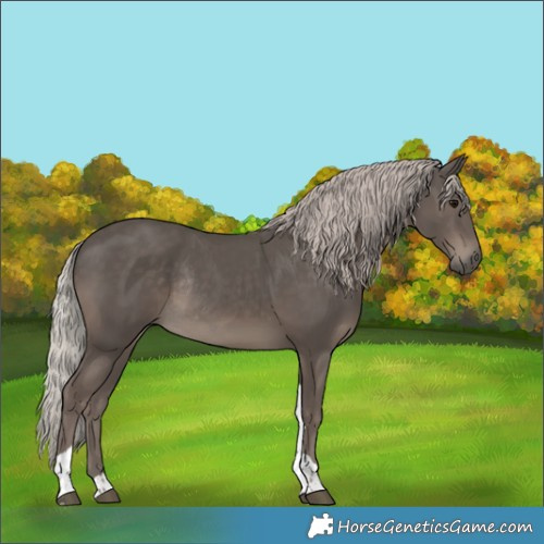 Horse Color:Silver Black Tobiano Rabicano 