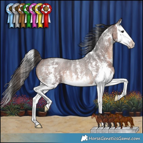 Horse Color:Bay Roan Sabino Splash Rabicano 