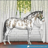 Horse Color:Buckskin Sabino
