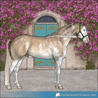 Horse Color:Chocolate Palomino Mushroom Sabino Splash 
