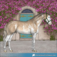 Horse Color:Chocolate Palomino Mushroom Sabino Splash 