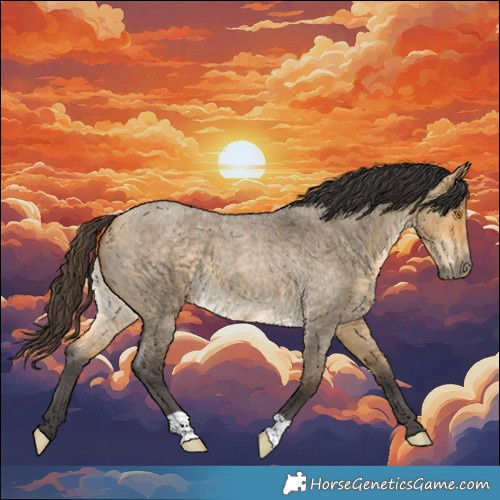 Horse Color:Buckskin Roan Dun 