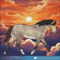 Horse Color:Buckskin Roan Dun 