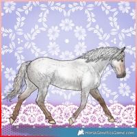 Horse Color:Gray Liver Red Dun Roan 