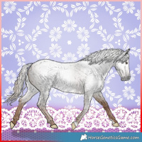 Horse Color:Gray Liver Red Dun Roan 