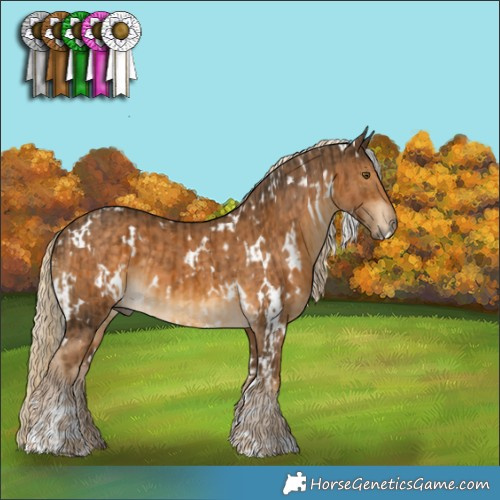 Horse Color:White Spotted Chocolate Palomino  and White Spotted Chocolate Palomino 