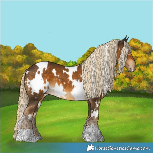 Horse Color:White Spotted Chocolate Palomino 