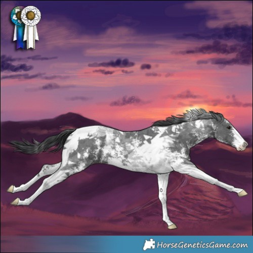 Horse Color:Black Sabino Tobiano 