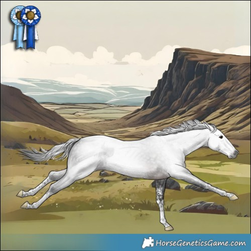 Horse Color:Gray Brown Sabino Splash 