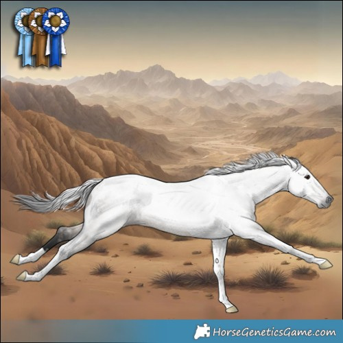 Horse Color:Gray Brown Dun Tobiano 