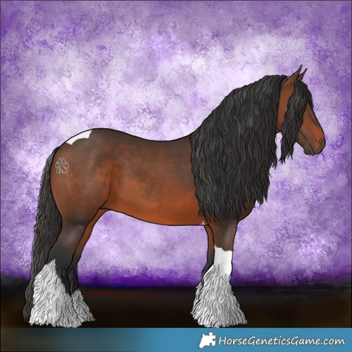Horse Color:Brown Tobiano 