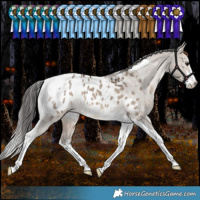 Horse Color:White Spotted Bay Dun Tobiano Appaloosa Rabicano 