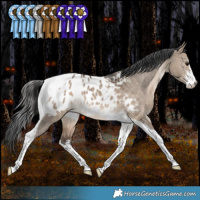 Horse Color:White Spotted Bay Dun Tobiano Appaloosa Rabicano 