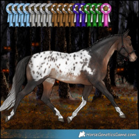 Horse Color:White Spotted Brown Tobiano Appaloosa 