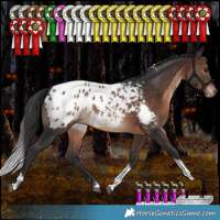 Horse Color:White Spotted Brown Tobiano Appaloosa