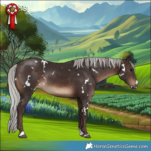 Horse Color:White Spotted Silver Brown 