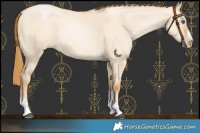 Horse Color:Red Dun Roan Pearl Tobiano Frame