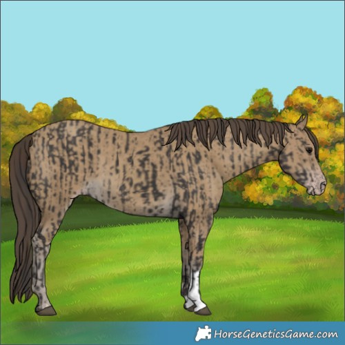Horse Color:Smoky Black  and Classic Cream Champagne 