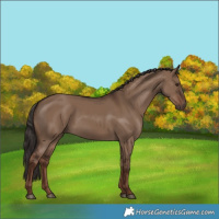 Horse Color:Liver Red Dun 