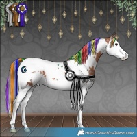 Horse Color:Painted White Spotted Bay Splash Tobiano Blanket 