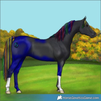 Horse Color:Painted Black 