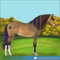 Horse Color:Painted Buckskin