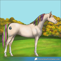 Horse Color:Painted Sable Champagne Pearl 