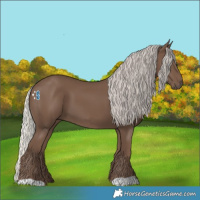 Horse Color:Silver Black 