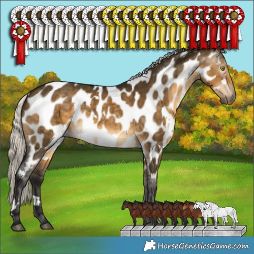 Horse Color:Gray White Spotted Silver Buckskin Dun Appaloosa Brindle 