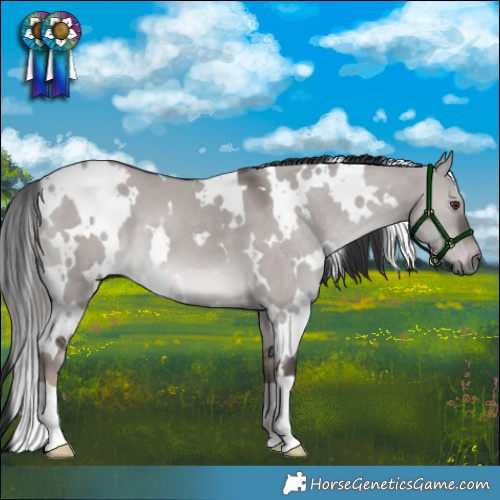 Horse Color:Platinum White Spotted Liver Red Dun 