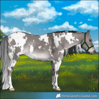 Horse Color:Platinum White Spotted Liver Red Dun 