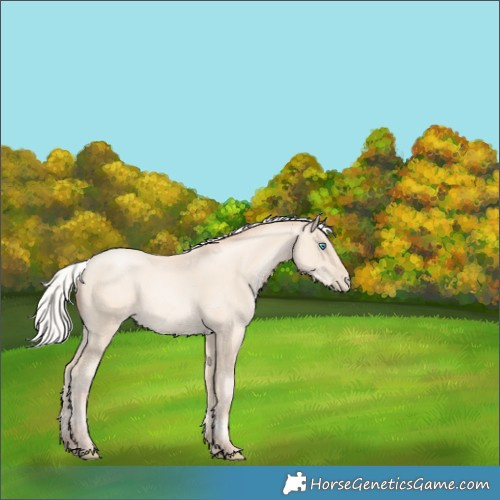 Horse Color:Silver Sable Cream Champagne Pearl 