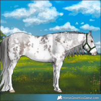 Horse Color:Platinum White Spotted Liver Chestnut Sabino