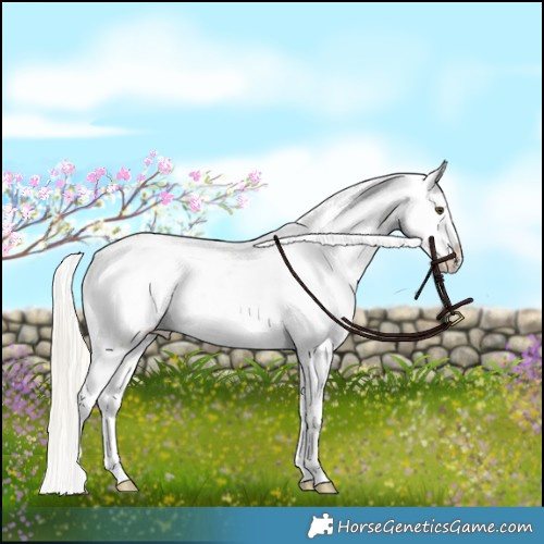 Horse Color:Silver Buckskin Dun Near Fewspot 
