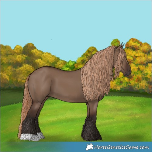 Horse Color:Liver Red Dun 