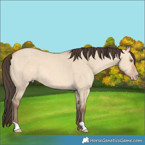 Horse Color:Amber Champagne Dun 