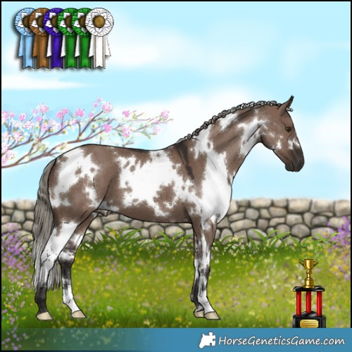 Horse Color:White Spotted Liver Red Dun Mushroom 