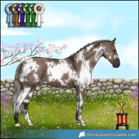 Horse Color:White Spotted Liver Red Dun Mushroom