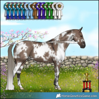 Horse Color:White Spotted Liver Red Dun Mushroom