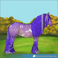 Horse Color:Watercolor White Spotted Brown Dun 