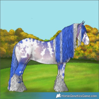 Horse Color:Watercolor White Spotted Brown Onyx Appaloosa