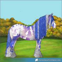 Horse Color:Watercolor White Spotted Brown Onyx Appaloosa