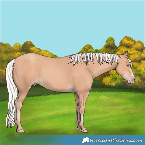 Horse Color:Silver Amber Champagne Frame