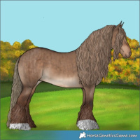Horse Color:Liver Red Dun Brindle 